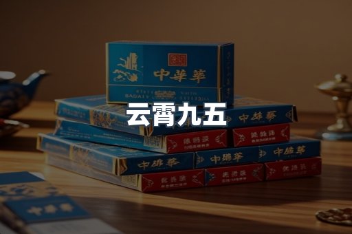 云霄九五